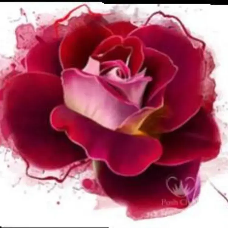 Miniaturbild: Posh Chalk RADIANT ROSE Decoupage A1