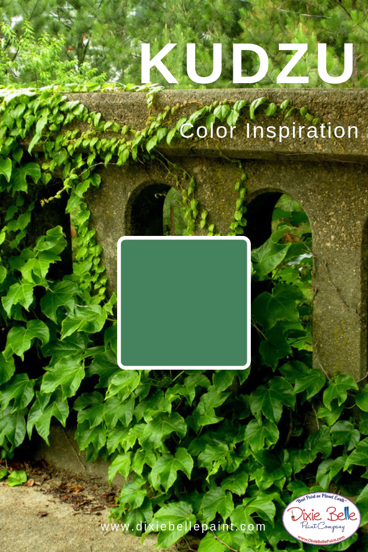 Miniaturbild: Kudzu - Dixie Belle