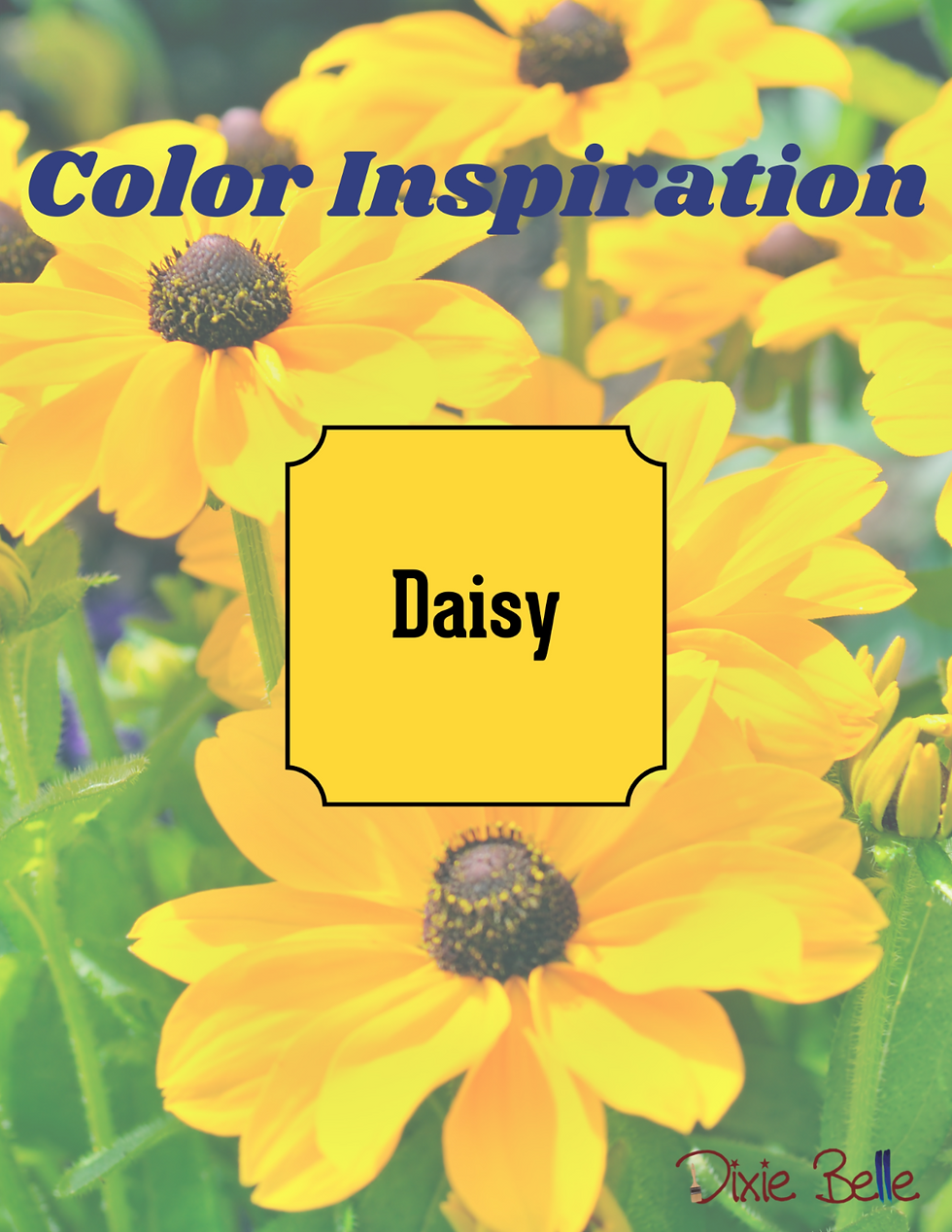 Miniaturbild: Daisy - Dixie Belle