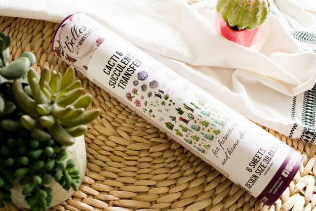 Thumbnail: Belles&Whistles "Cacti & Succulents"