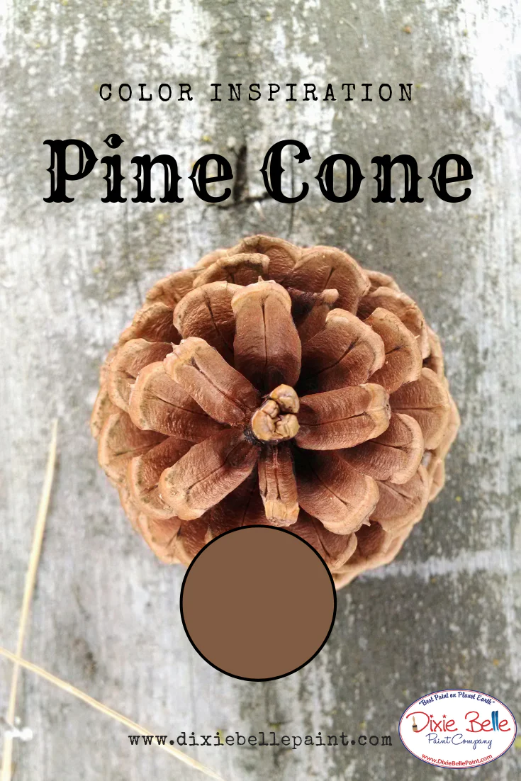 Thumbnail: Pine Cone - Dixie Belle