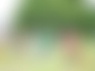 スポ探〈サマーシーズン〉始まります!