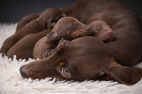 14 févr. 2026, 14_38_57.png