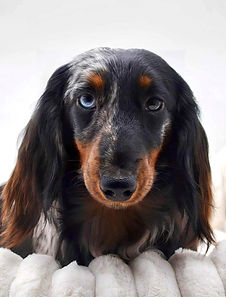 15a009a2-3f20-42d6-96aa-e7f109bbf97a_edi