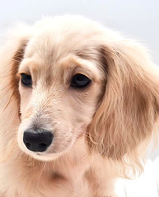 571230782_1228199956012471_1284291097046