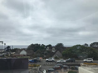 IMG_2664.jpeg