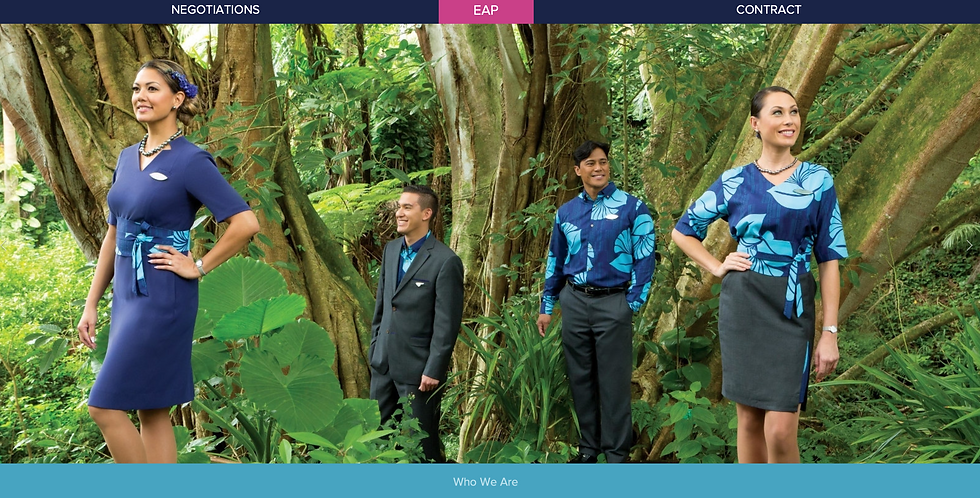 HAWAIIAN AIRLINES - PROFESSIONAL WEBSITE