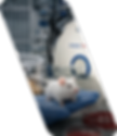 Animalmri