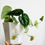 Thumbnail: Vintage Pretty Fern Planter Cachepot Jardiniere Delicate Green White Hexagonal Octagonal