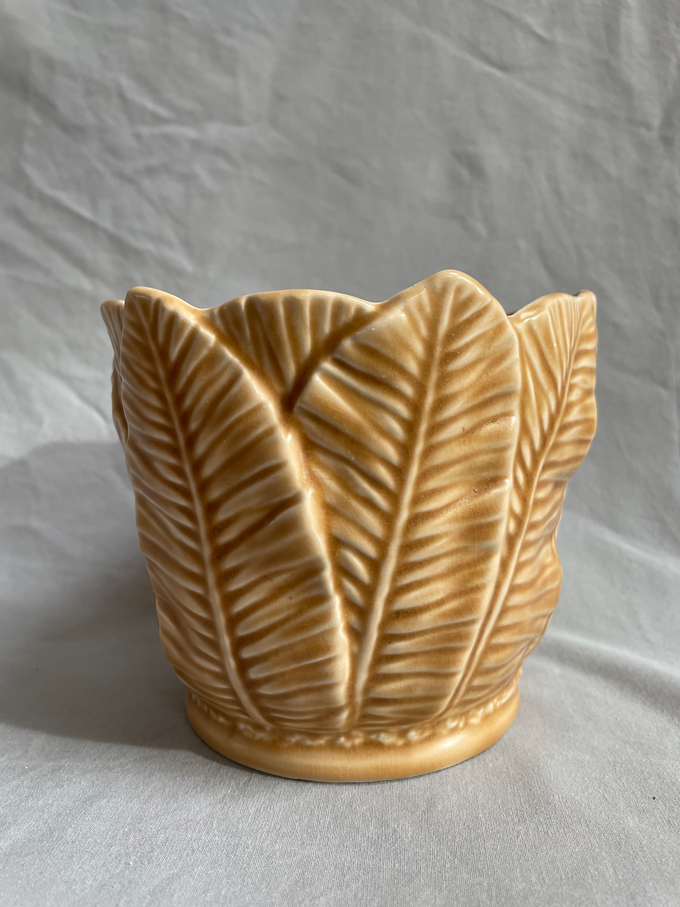 Thumbnail: SylvaC Tan Palm Leaf Pot