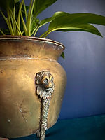Vintage Plant Pots to Match Your Decor | Queens of Green
