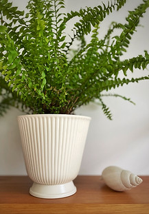 Wedgwood Vintage Cream Moonstone Planter