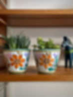 Pair of dutch floral gouda vintage pots with succulents on a shelf