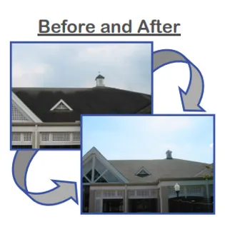 B&A - 3.webp