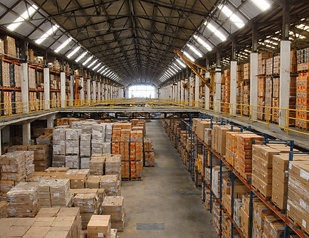 ChatGPT Image Feb 24, 2026, 12_41_47 AM.png