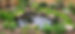 whatwedopondpic.jpg
