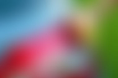 7 PRODUTOS PARA LIMPAR SEU CARRO