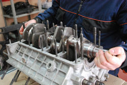 Restauración Lambini Urracoorgh