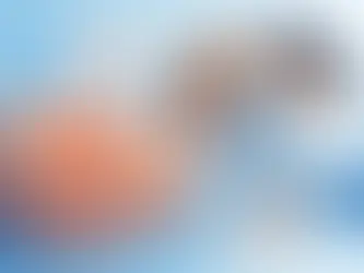מה זה BCC בעור ואיך מטפלים נכון