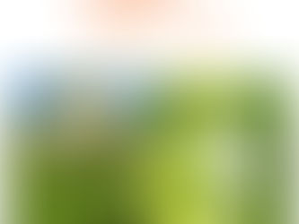 暦の上では初夏
