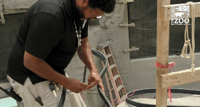 Screen Recording 2025-04-05 at 4.37.51 PM-2.gif