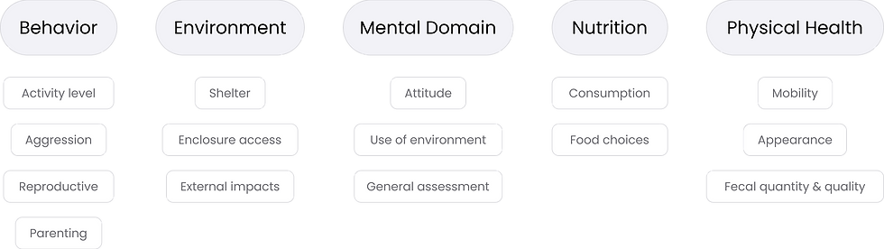 Frame 1410098017.png