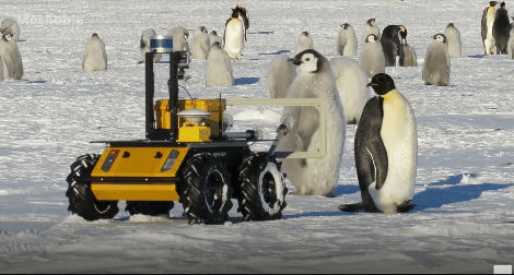 Screen Recording 2025-04-05 at 4.42.28 PM-3.gif