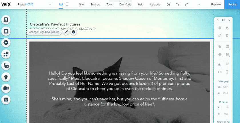Wix Editor example