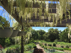 Healdsburg Off the Grid