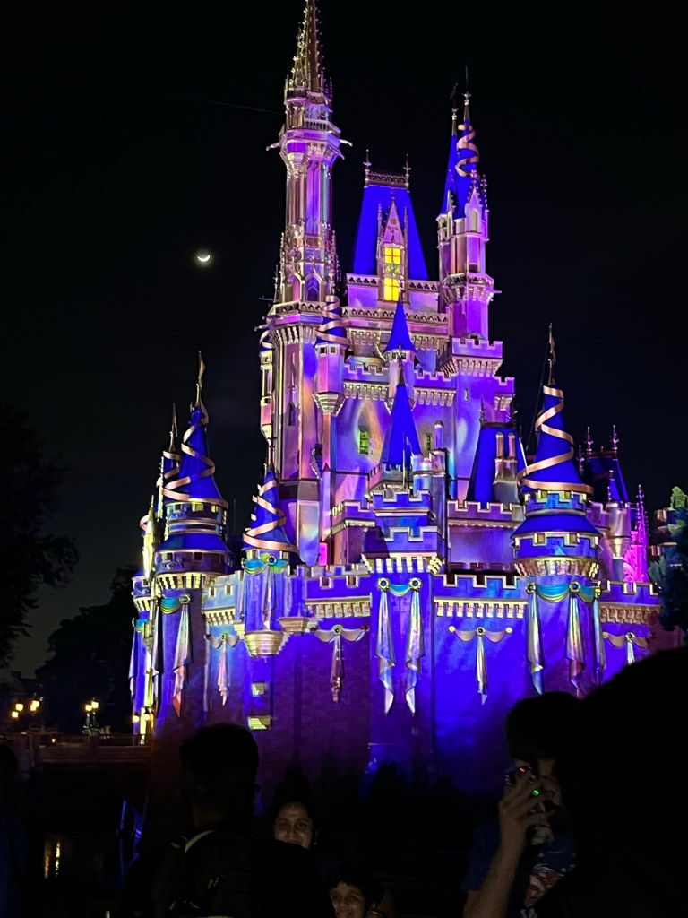 Cinderella's Castle at Night, Magic Kingdom, Disney World.