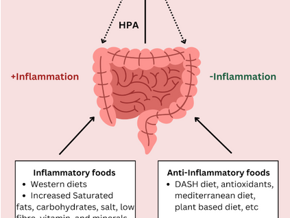 The Gut-Stress Connection: What It Means for Your Mental Health By Dr.Jasmine Kaur