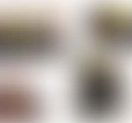 3 דרכים להרוויח מהאינסטגרם (מה הדרך שלך?)