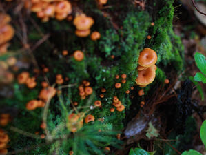 Bon Echo Camping Trip