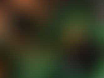 Bon Echo Camping Trip