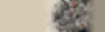 Insights - Splash Banner.png.jpg
