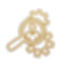Other Services (1).png