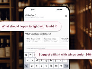 How to Use CellarChat: The Smartest Way to Manage Your Wine Inventory