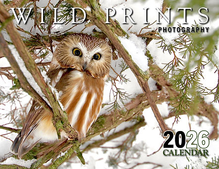 2026 WP Cal Cover.jpg