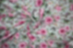 Blumen_AboutMe