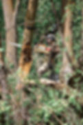 06_11_2023BrittanyMeisePhotography-3066 - compressed.jpg