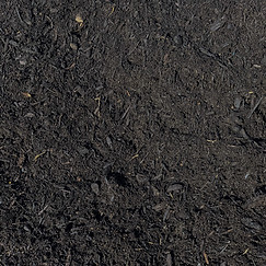 Karri and Peat (2).JPG