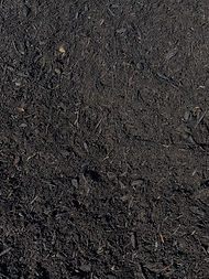 Karri and Peat (2).JPG
