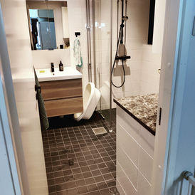 Pesuhuoneen saneeraus