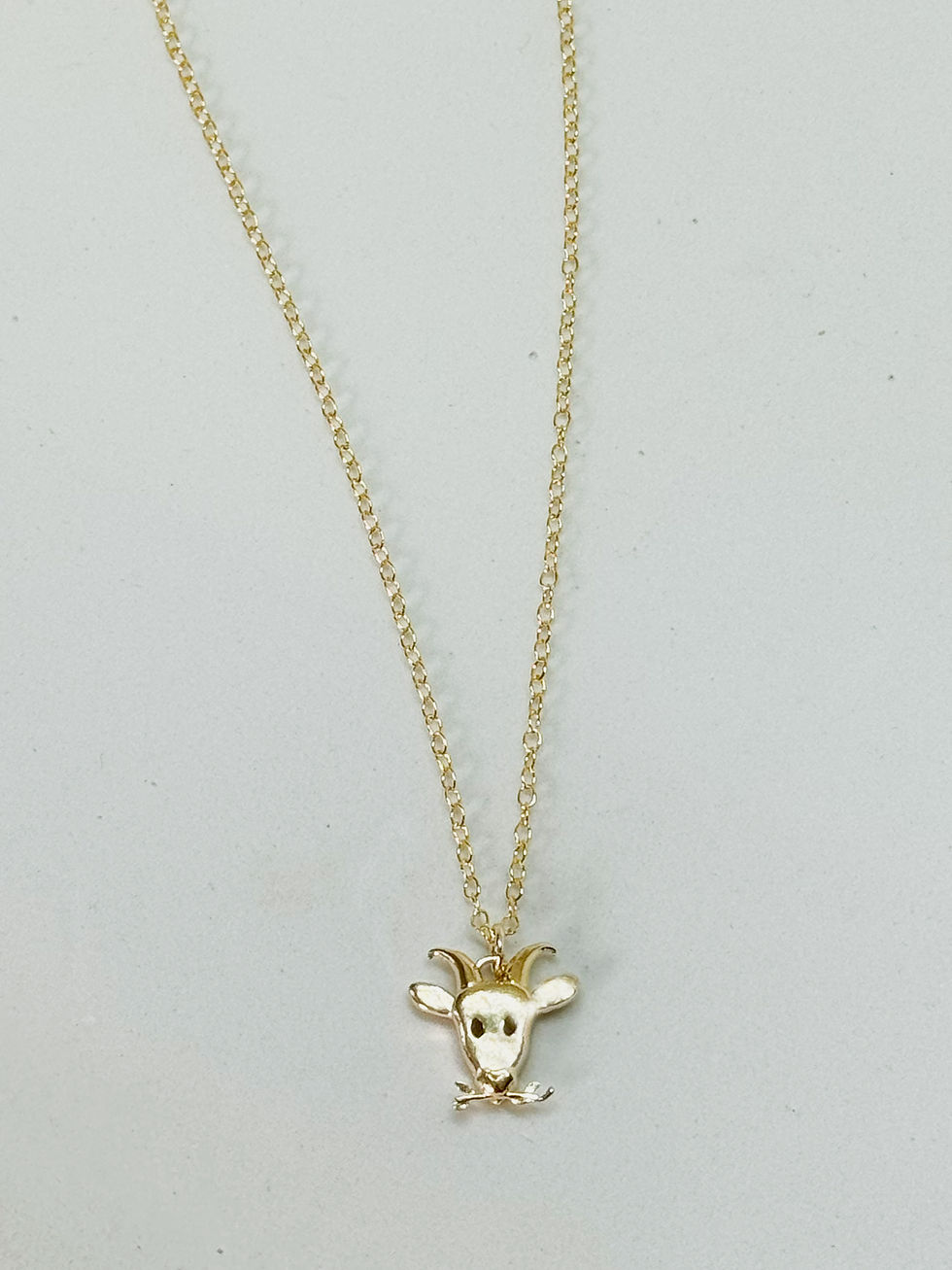 תמונה ממוזערת: Capricorn necklace