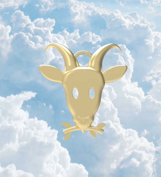 תמונה ממוזערת: Capricorn necklace