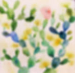 opuntias