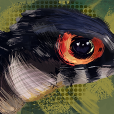IMG_9145.png
