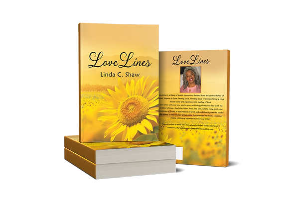 Back___Front_Advertisement_Linda_Shaw_Book_3.png