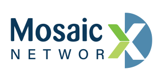 Mosaic Networks.png