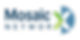 Mosaic Networks.png